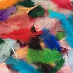 Flat Top Marabou Feather Pack 10 grams - Assorted